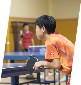 和卓球について