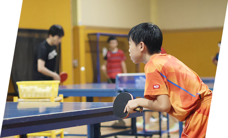 和卓球について